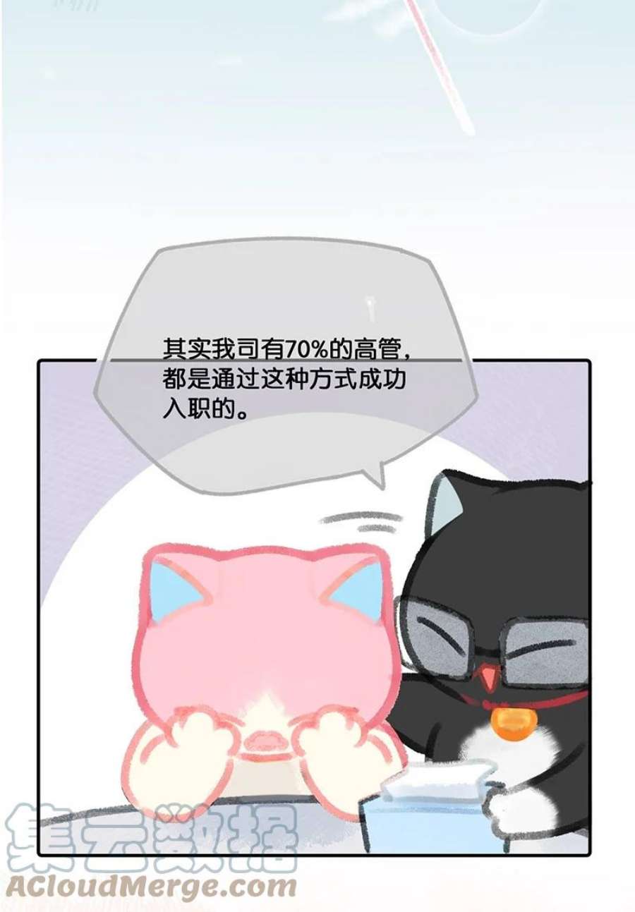 喵铃铛09 新“高管”入职……？