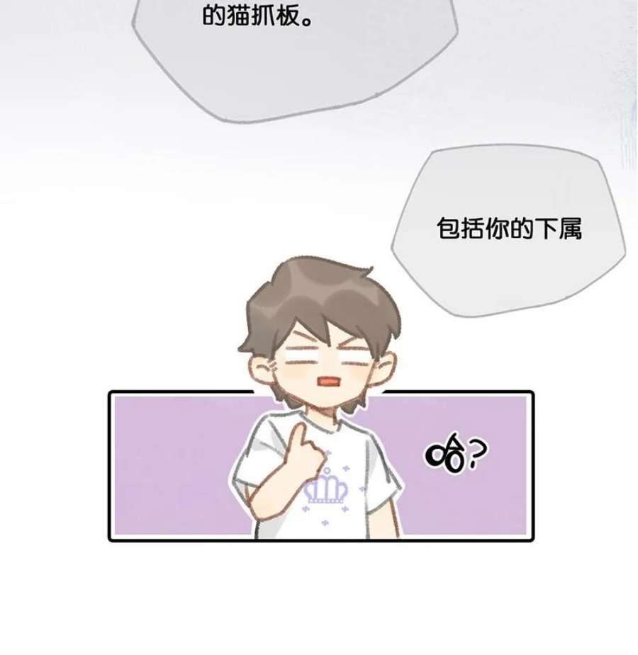 喵铃铛09 新“高管”入职……？