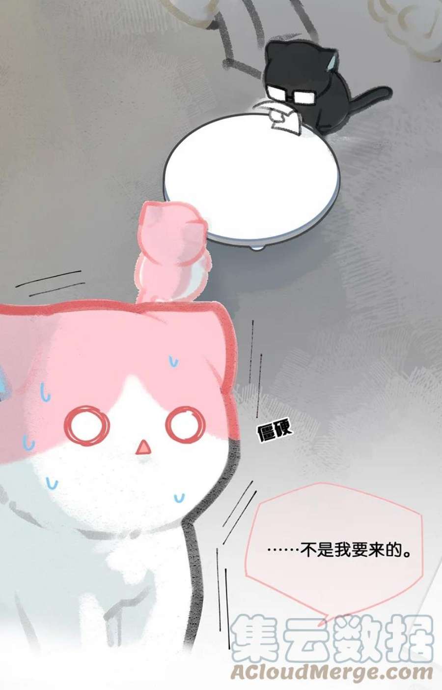 喵铃铛09 新“高管”入职……？