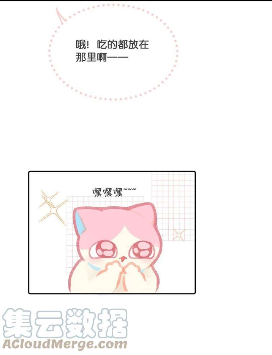 喵铃铛11 新员工入职第一天