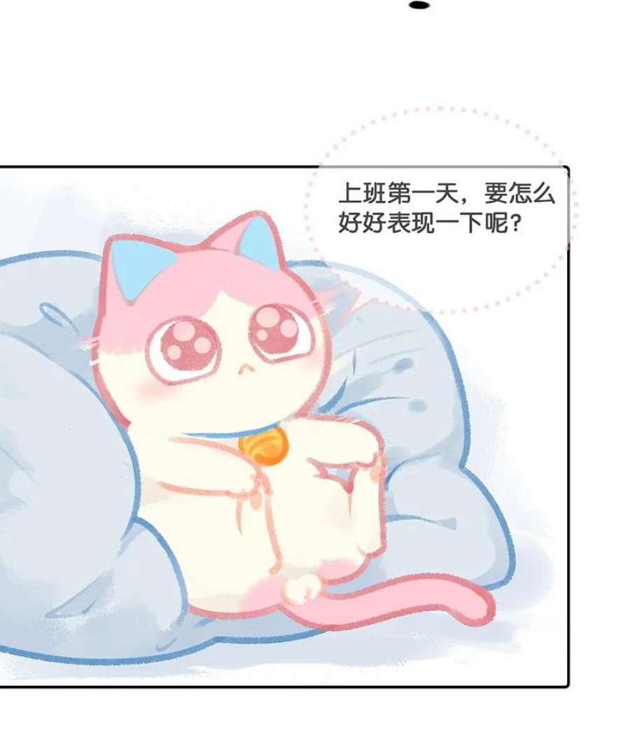 喵铃铛11 新员工入职第一天