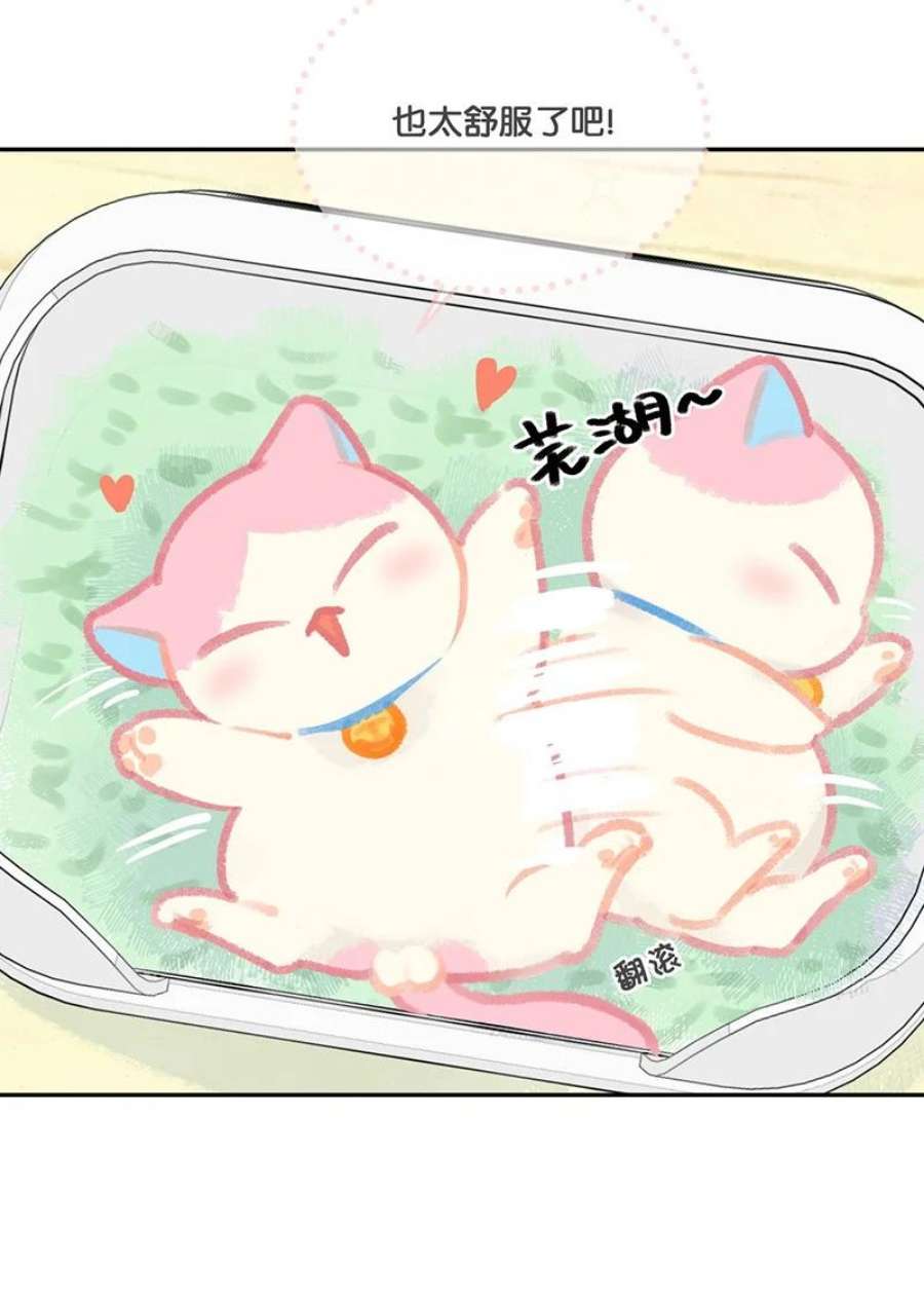 喵铃铛11 新员工入职第一天