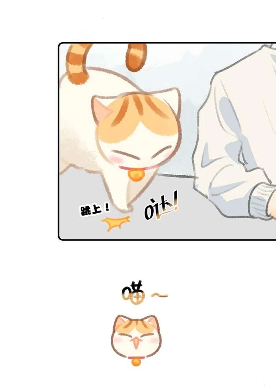 喵铃铛12 万能的？