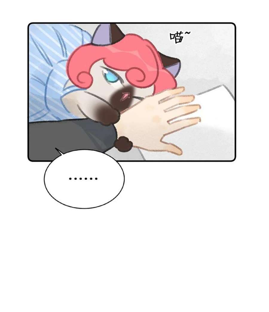 喵铃铛12 万能的？