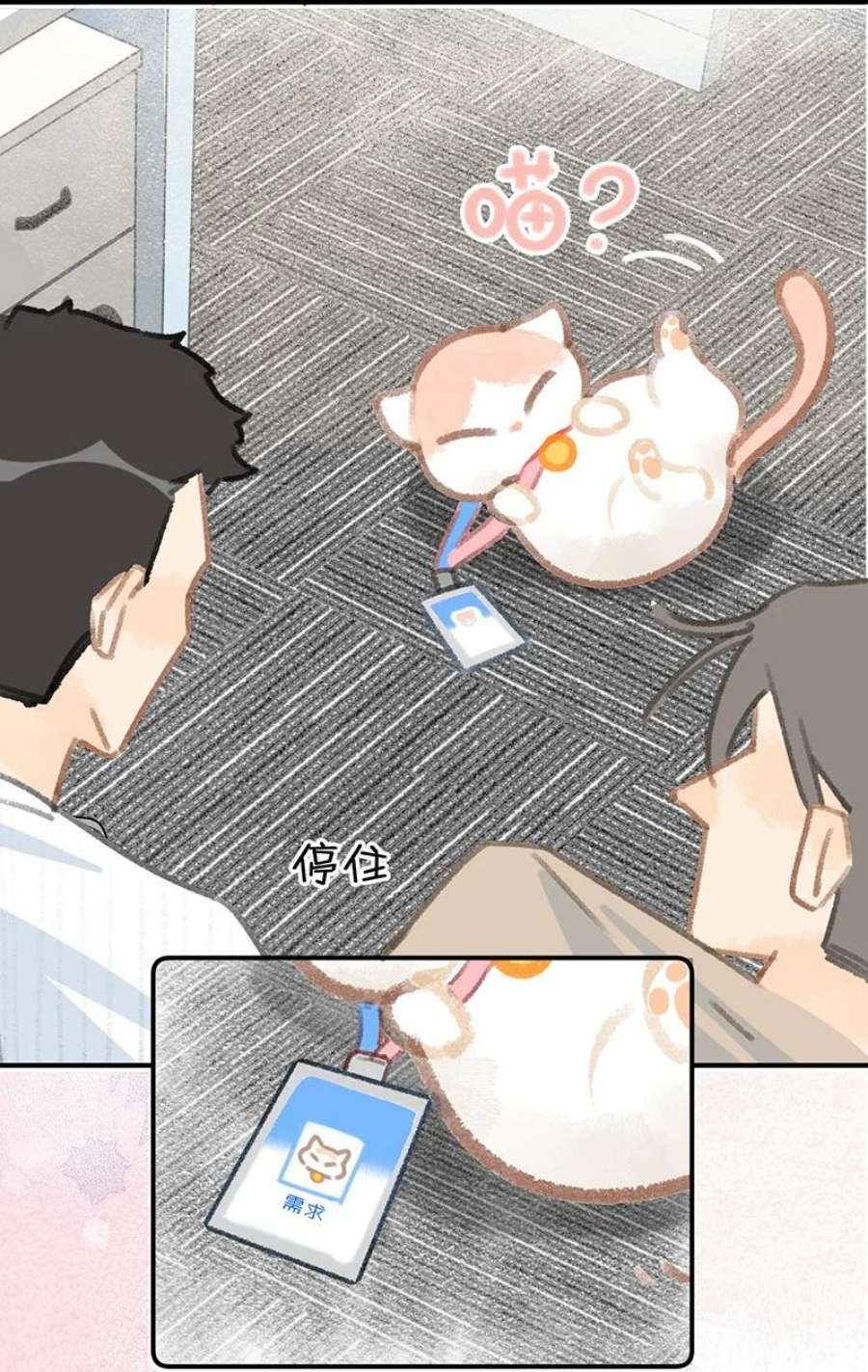 喵铃铛12 万能的？