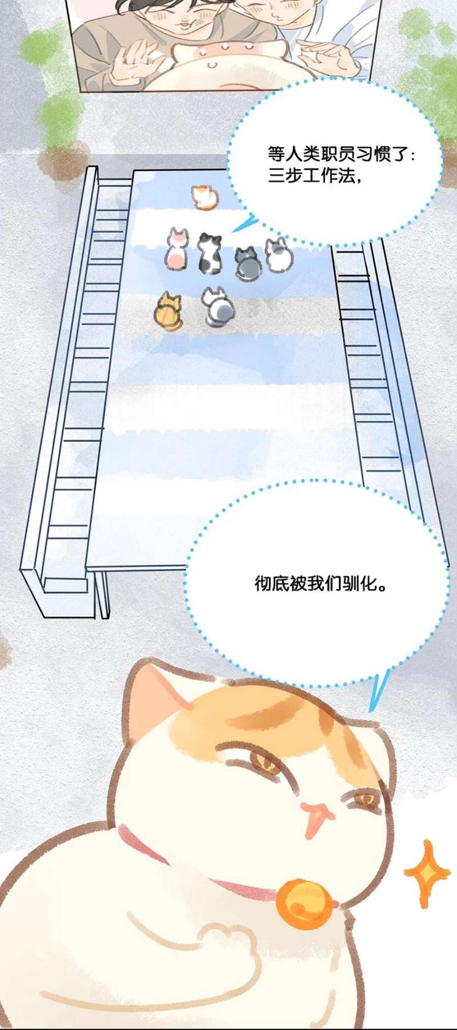 喵铃铛12 万能的？