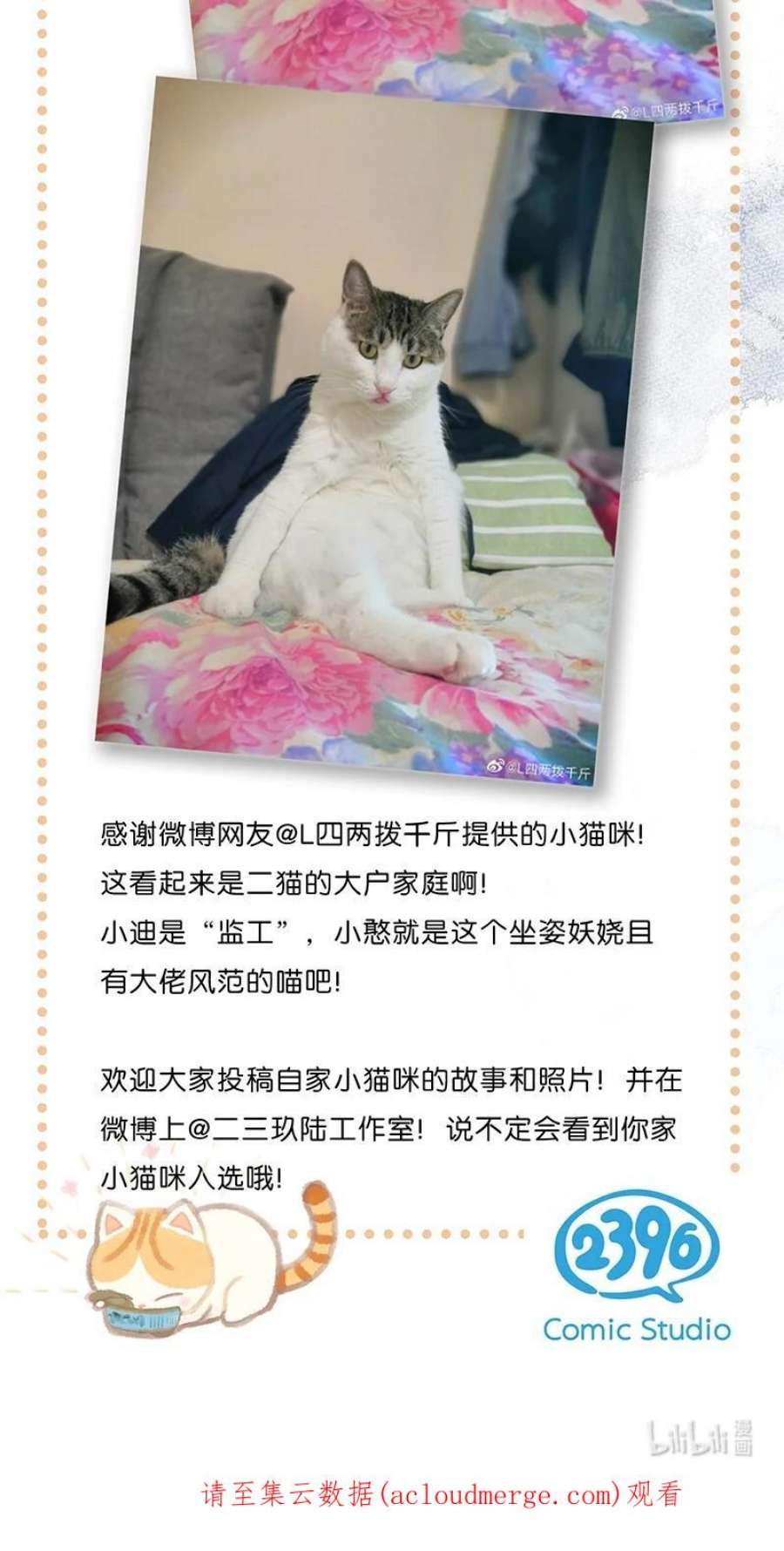 喵铃铛12 万能的？