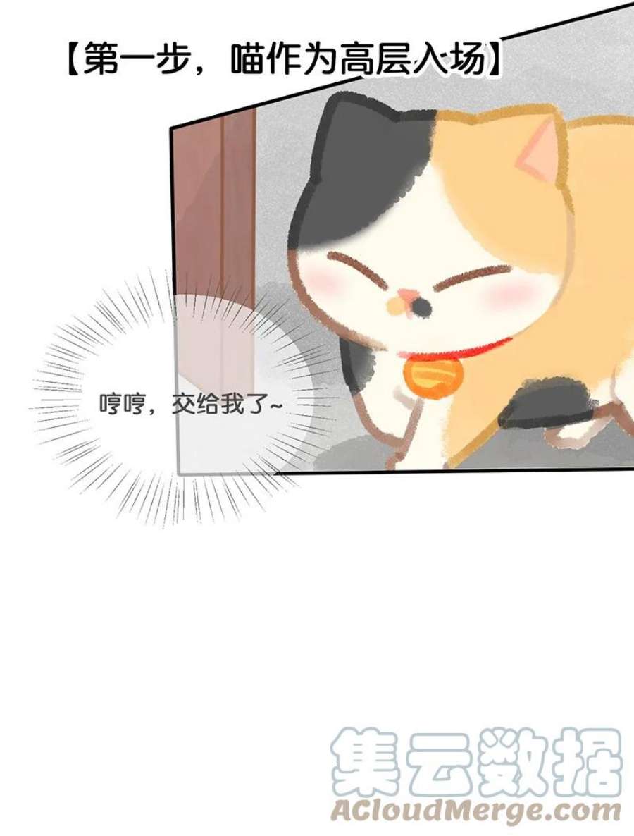 喵铃铛12 万能的？