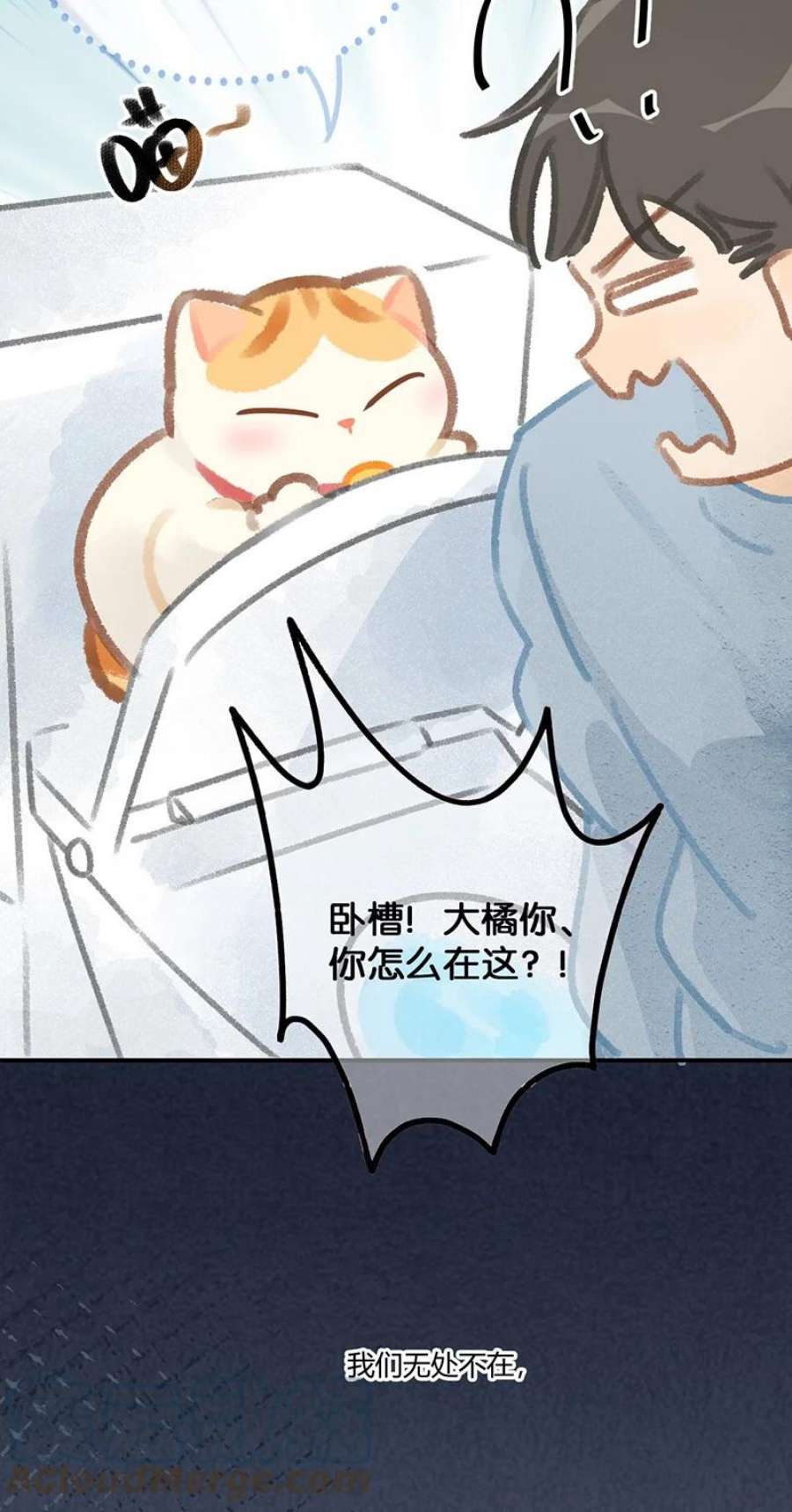 喵铃铛13 无处不在的“高管”