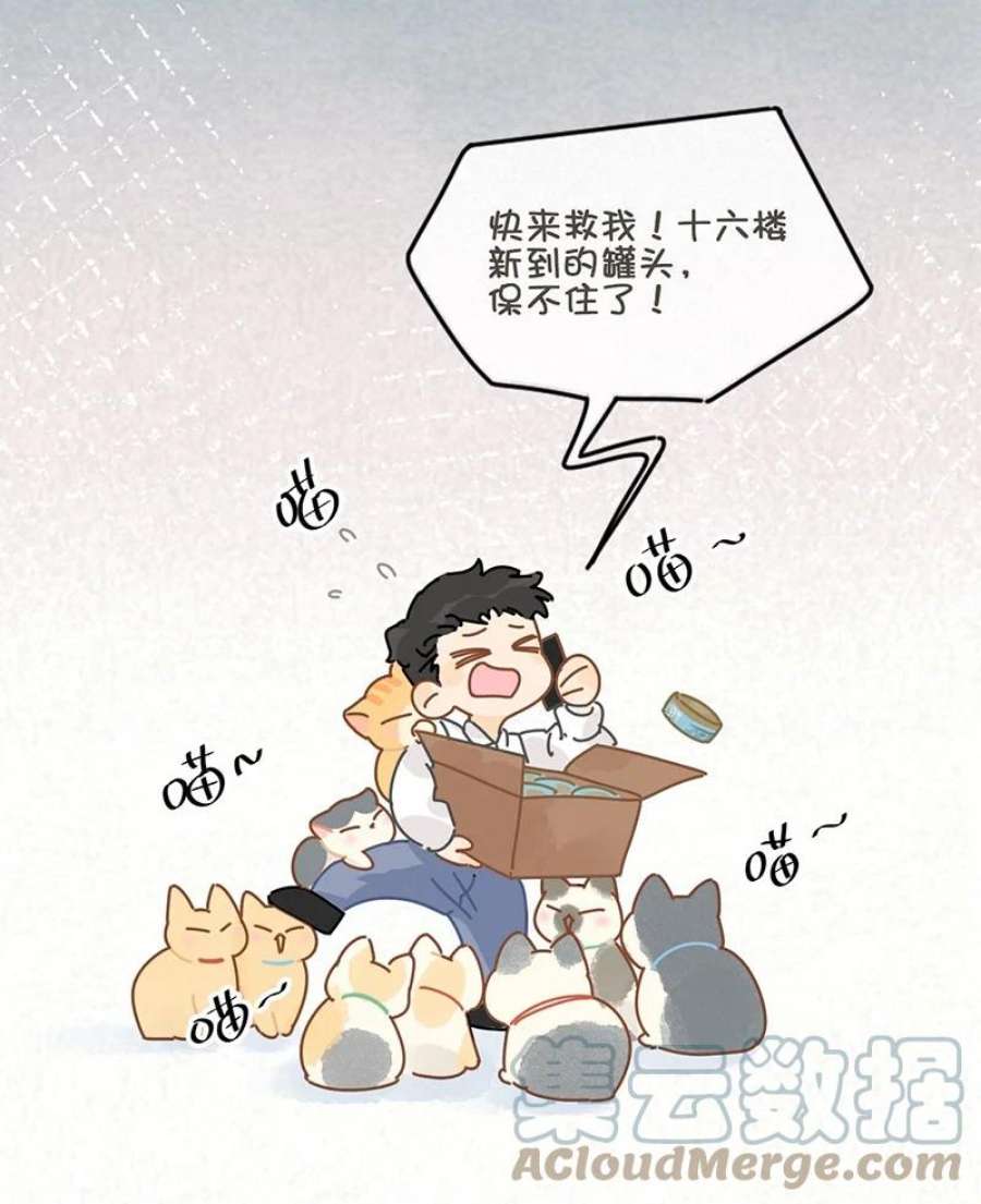 喵铃铛13 无处不在的“高管”