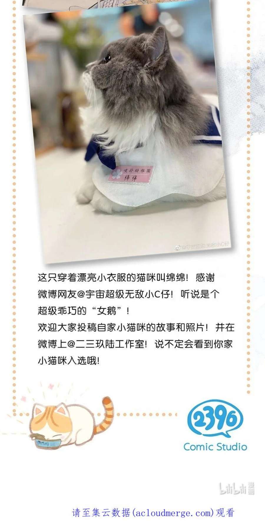 喵铃铛13 无处不在的“高管”