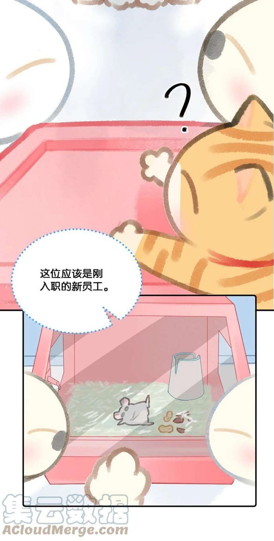 喵铃铛14 肖申克的救赎？