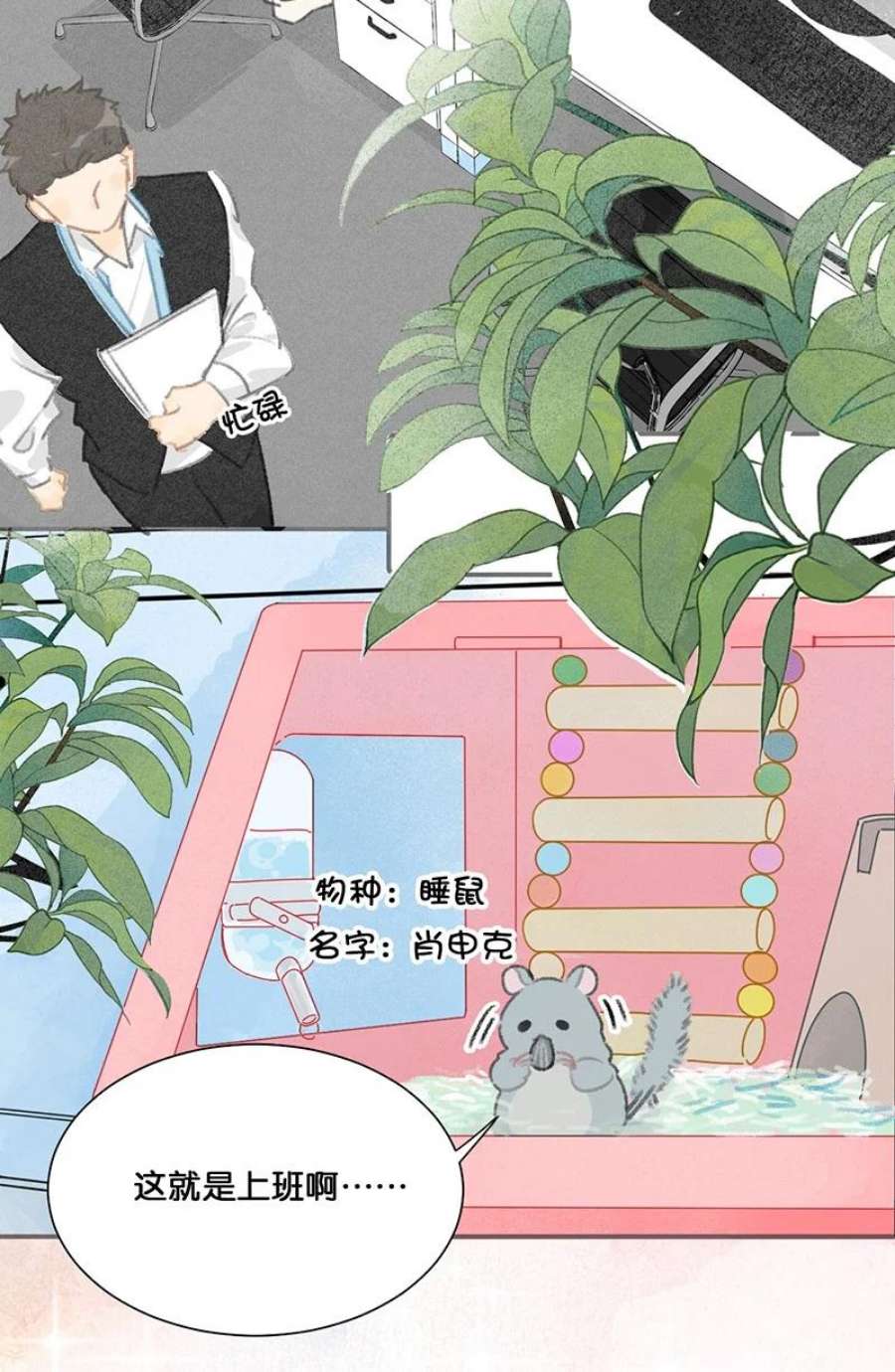 喵铃铛14 肖申克的救赎？