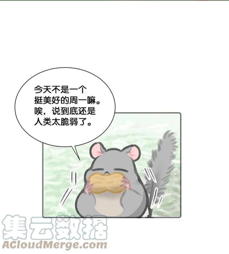 喵铃铛14 肖申克的救赎？