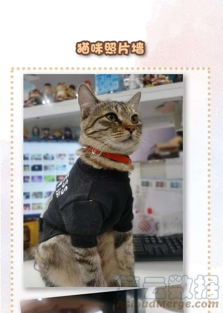 喵铃铛15 禁忌的办公室恋爱……