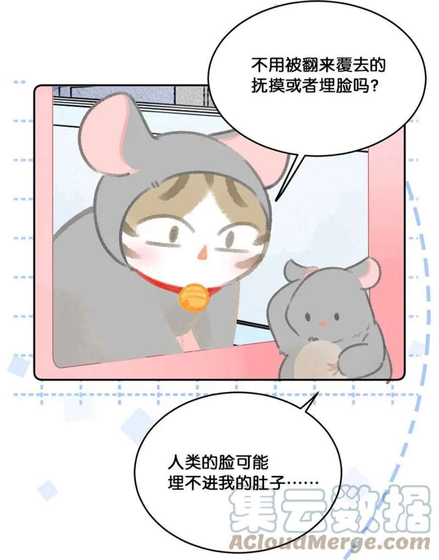 喵铃铛19 它好特别！我好喜欢！