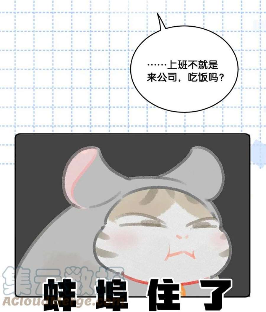 喵铃铛19 它好特别！我好喜欢！