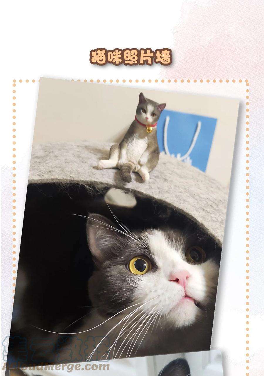喵铃铛19 它好特别！我好喜欢！