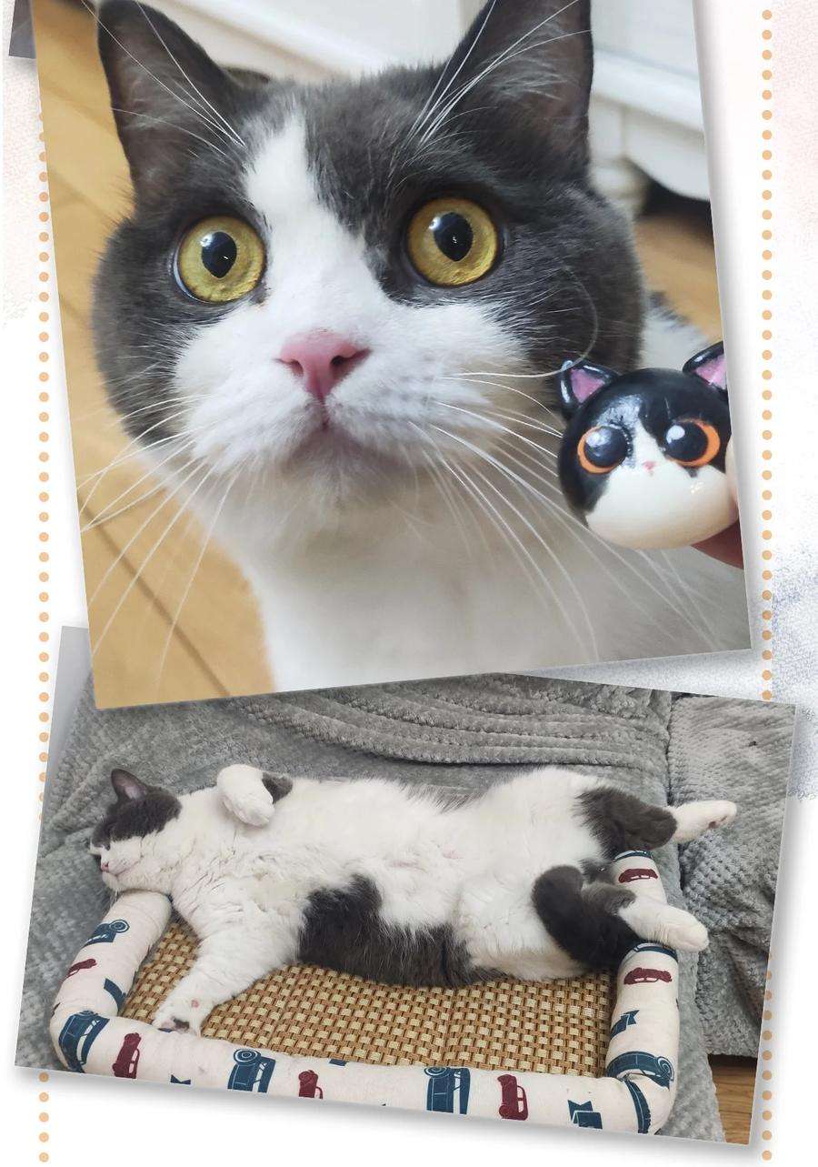 喵铃铛19 它好特别！我好喜欢！