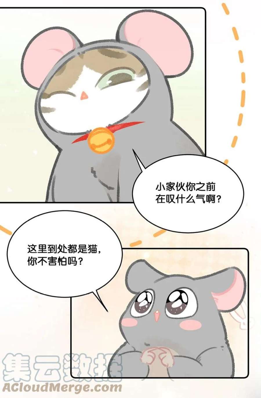 喵铃铛19 它好特别！我好喜欢！