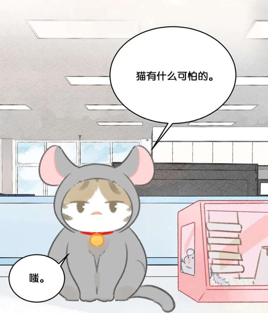 喵铃铛19 它好特别！我好喜欢！