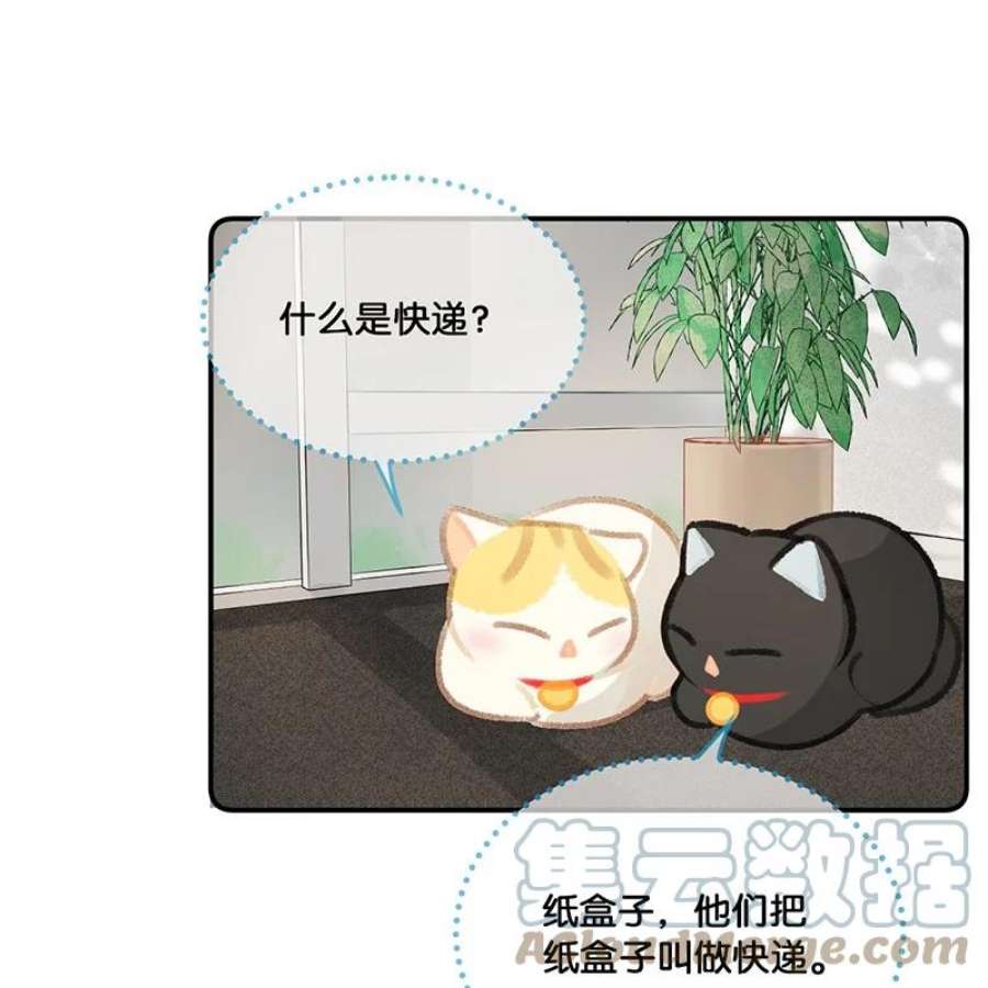 喵铃铛20 神秘的十一和十二月