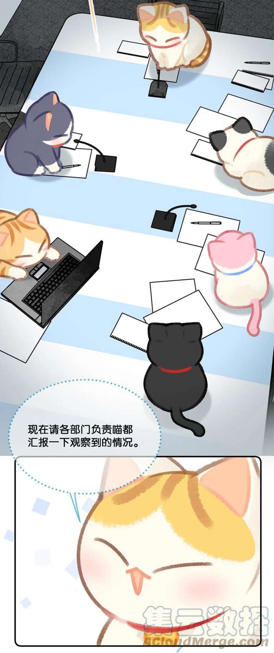 喵铃铛20 神秘的十一和十二月