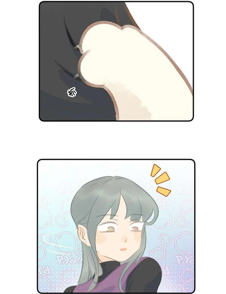 喵铃铛20 神秘的十一和十二月