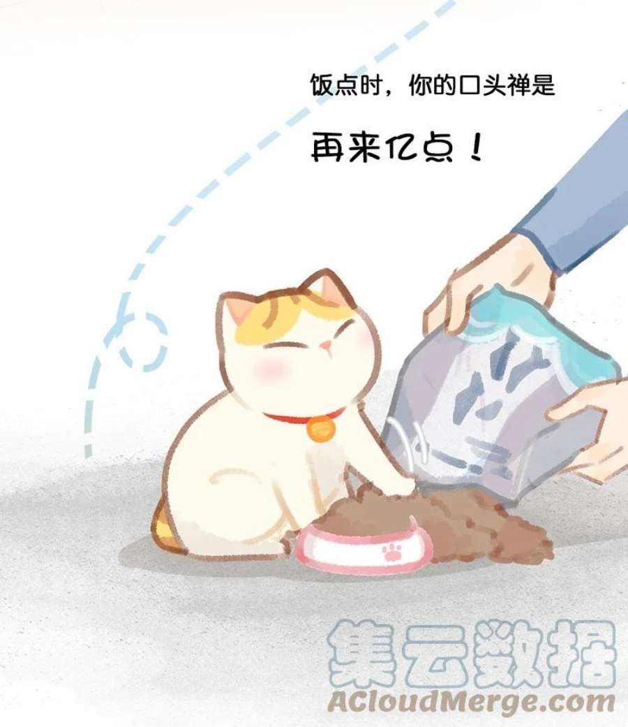 喵铃铛21 大橘的年终总结报告