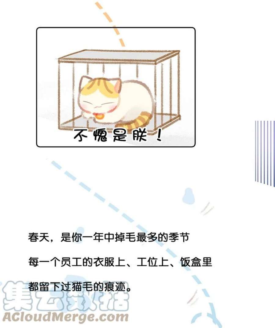 喵铃铛21 大橘的年终总结报告