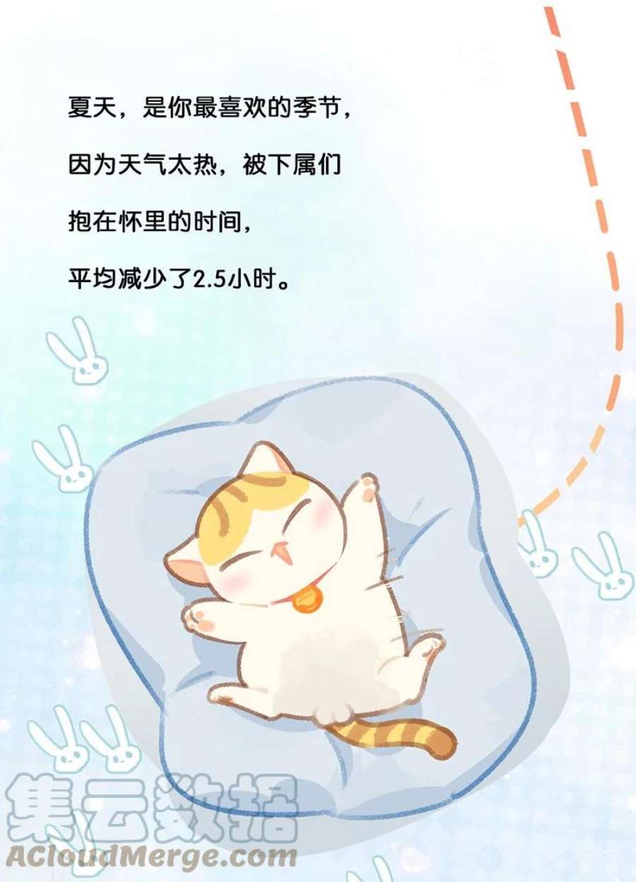 喵铃铛21 大橘的年终总结报告