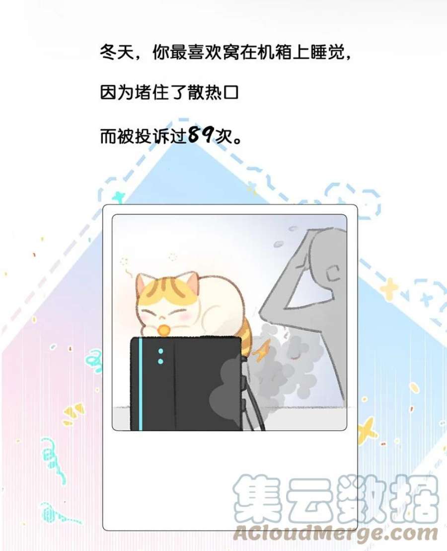 喵铃铛21 大橘的年终总结报告