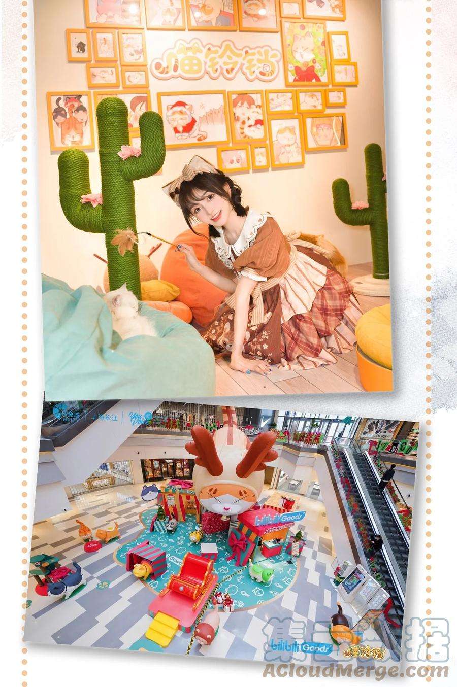 喵铃铛21 大橘的年终总结报告