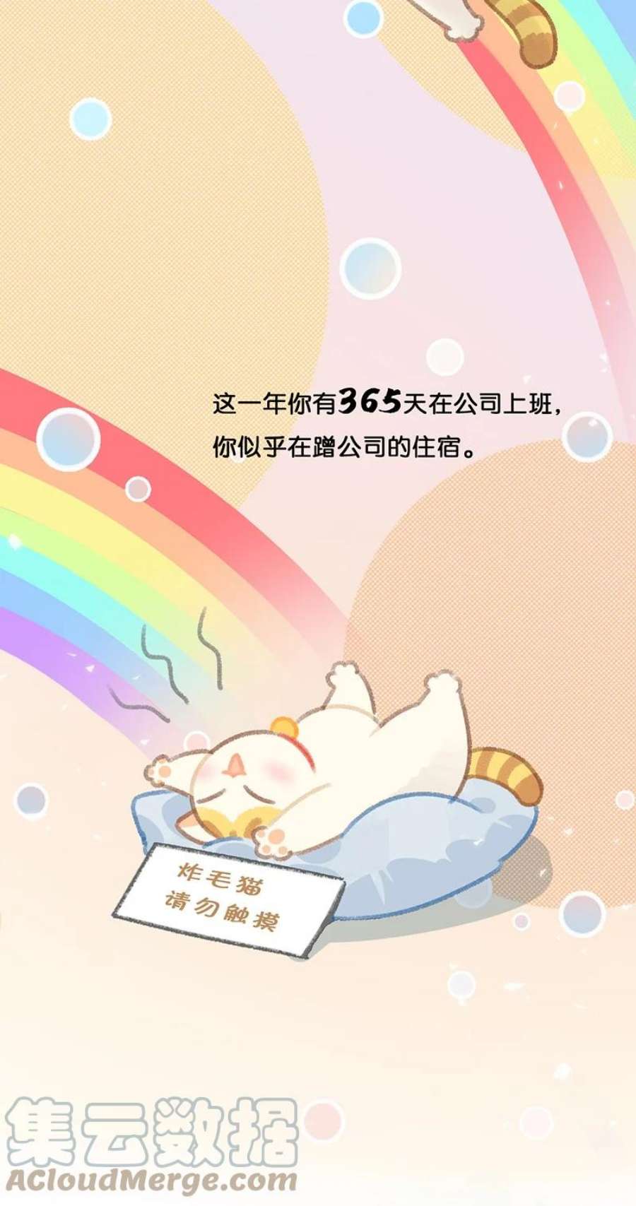 喵铃铛21 大橘的年终总结报告