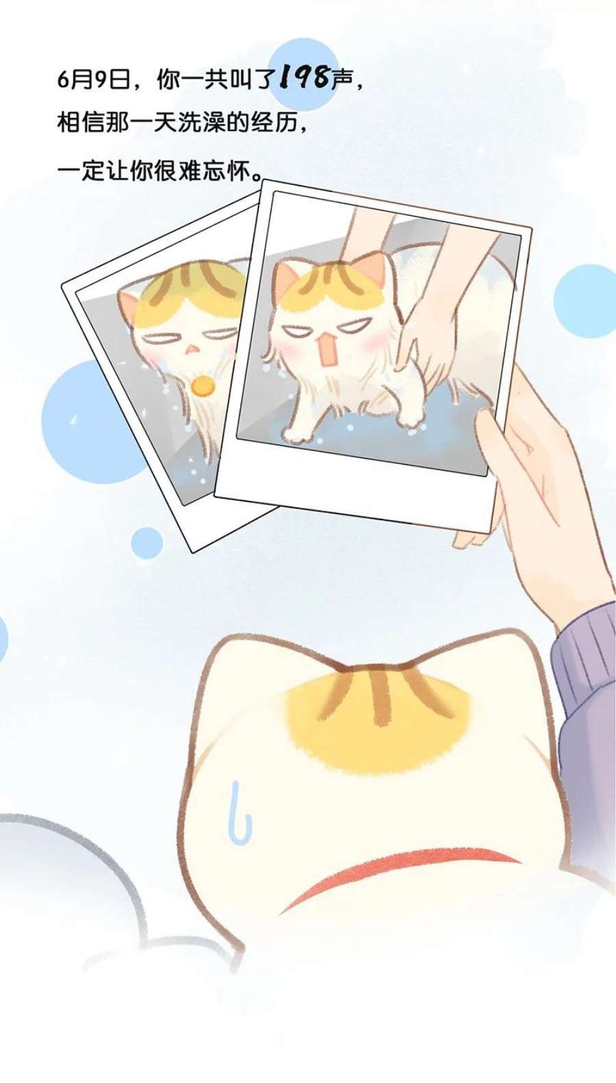 喵铃铛21 大橘的年终总结报告