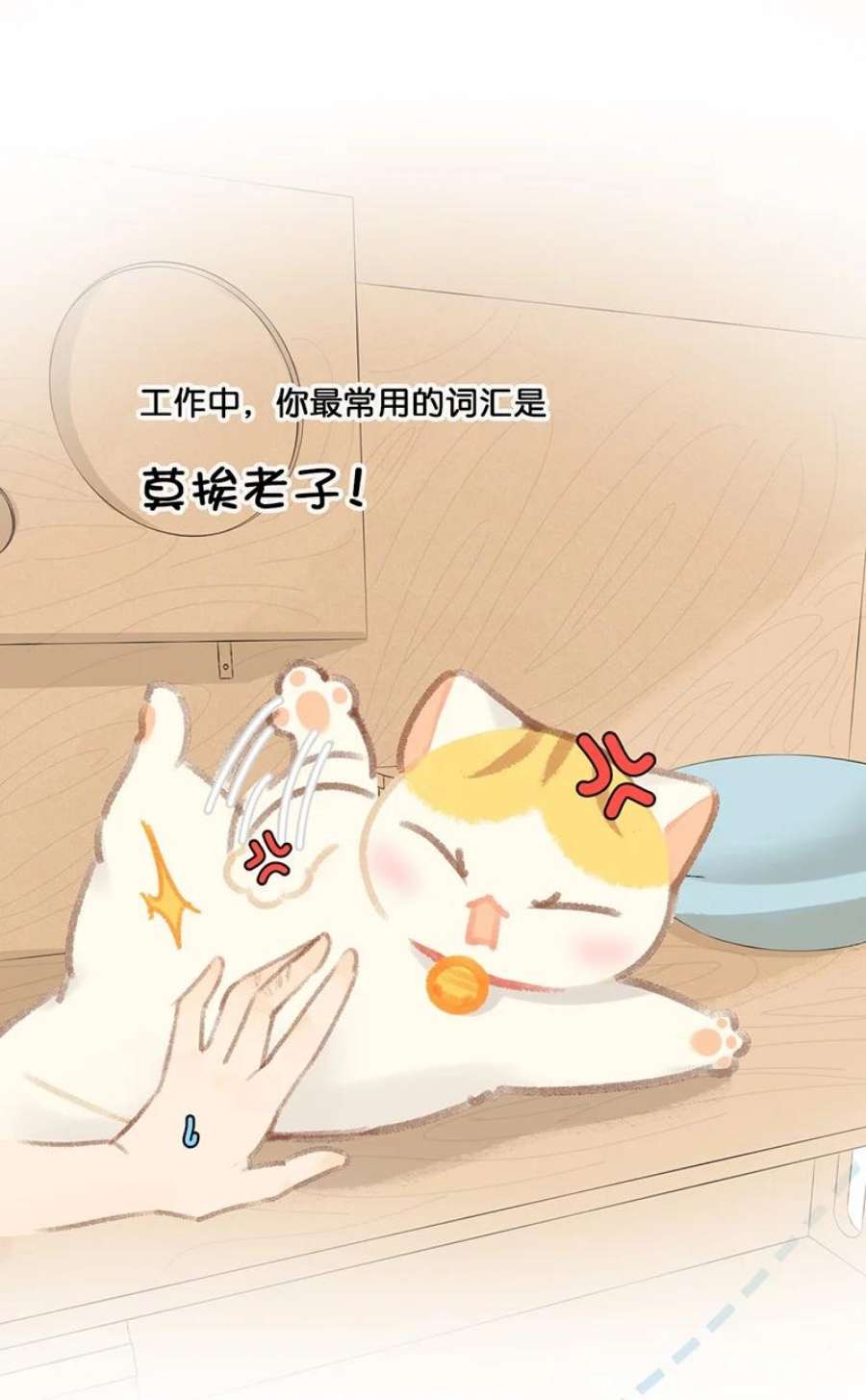 喵铃铛21 大橘的年终总结报告