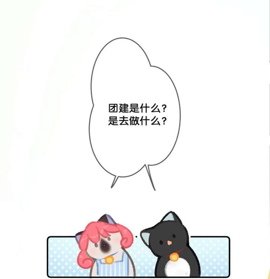 喵铃铛22 团建是密室逃脱和野外求生？