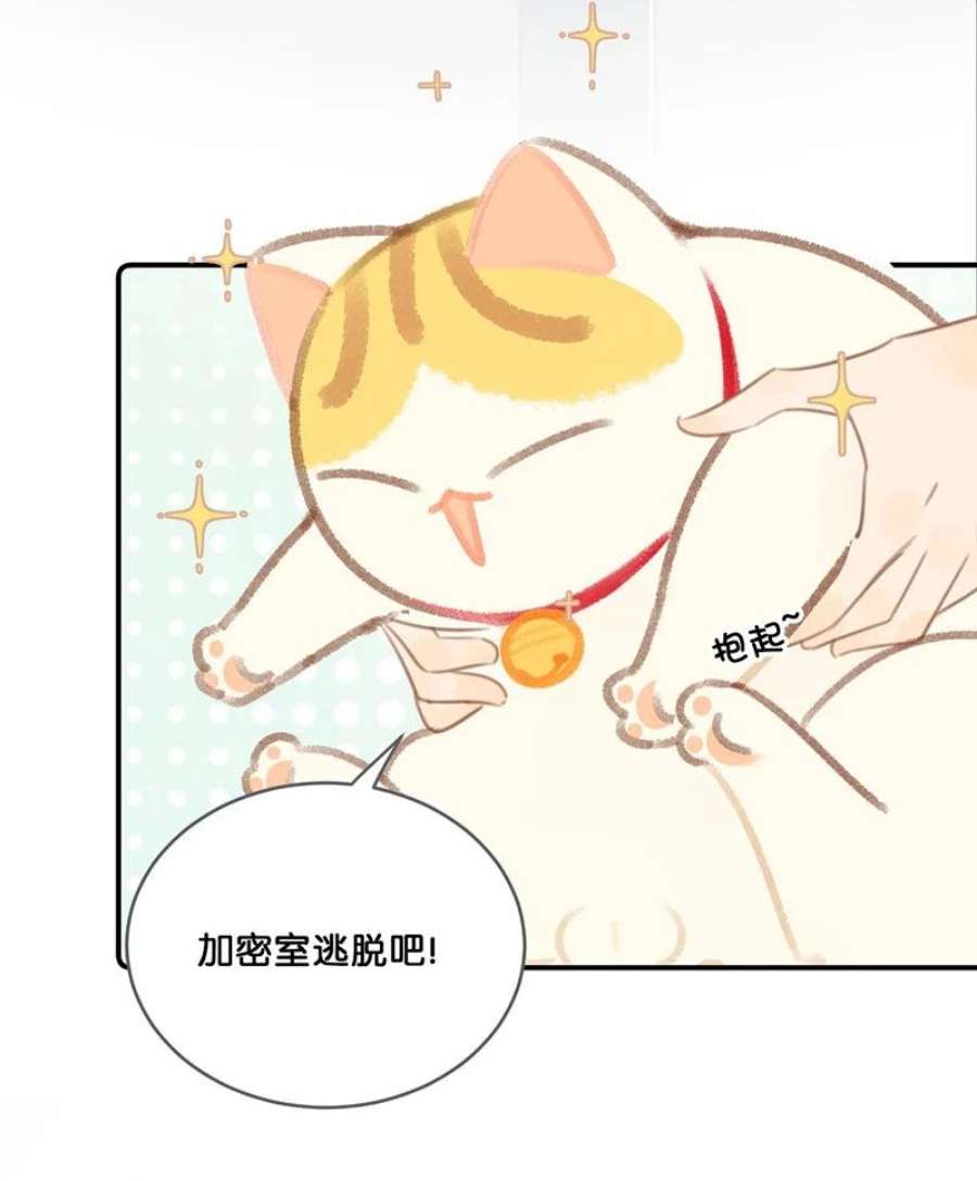 喵铃铛22 团建是密室逃脱和野外求生？