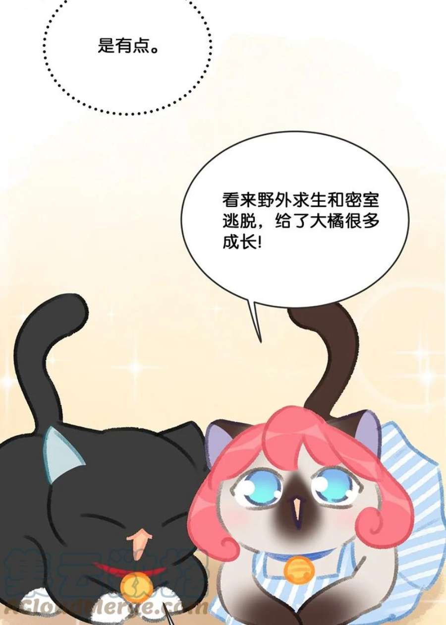 喵铃铛22 团建是密室逃脱和野外求生？