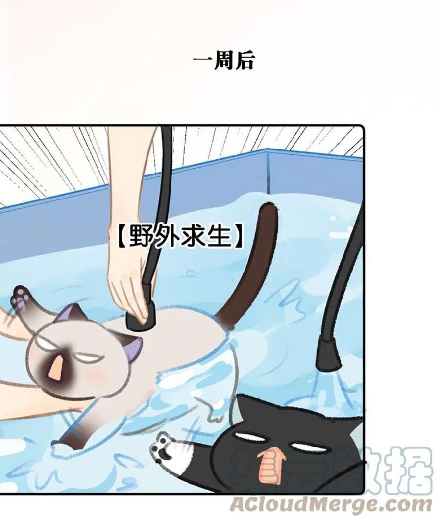 喵铃铛22 团建是密室逃脱和野外求生？