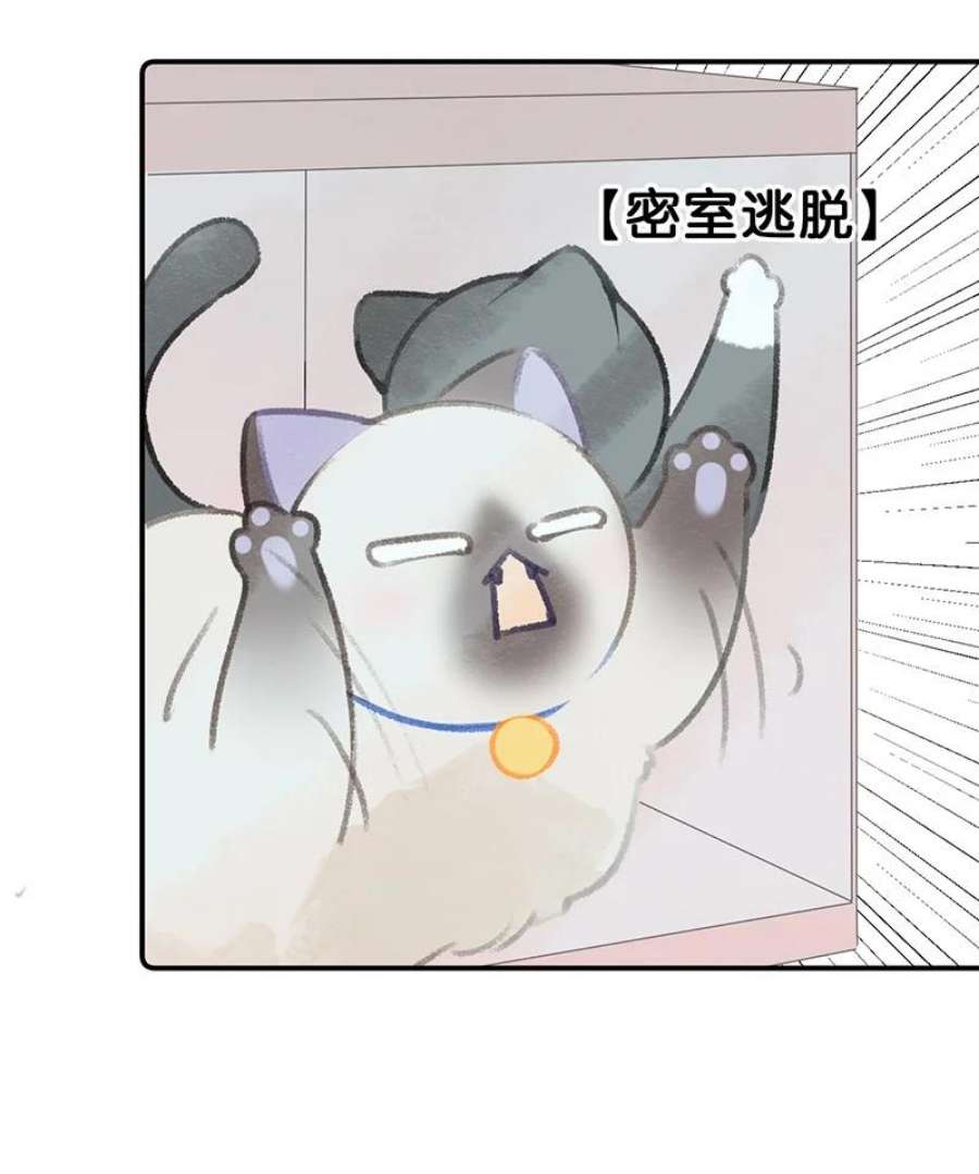 喵铃铛22 团建是密室逃脱和野外求生？