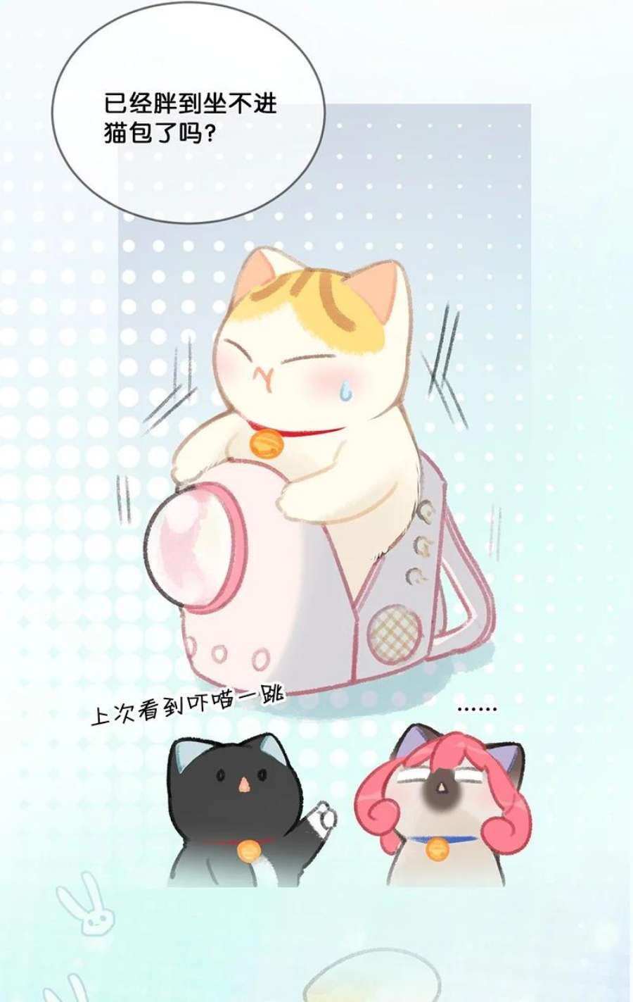 喵铃铛22 团建是密室逃脱和野外求生？