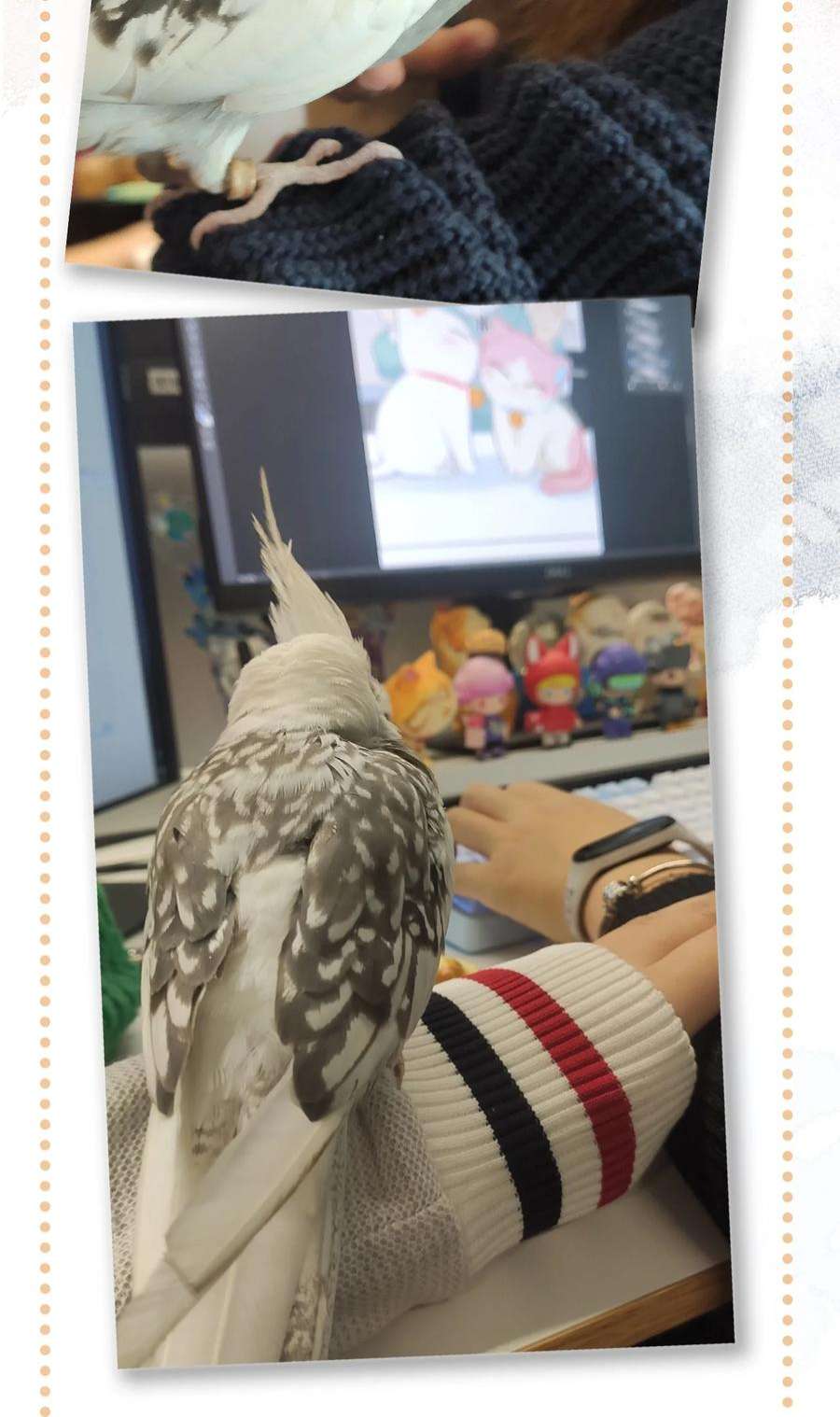 喵铃铛23 漫画部空降大佬？！