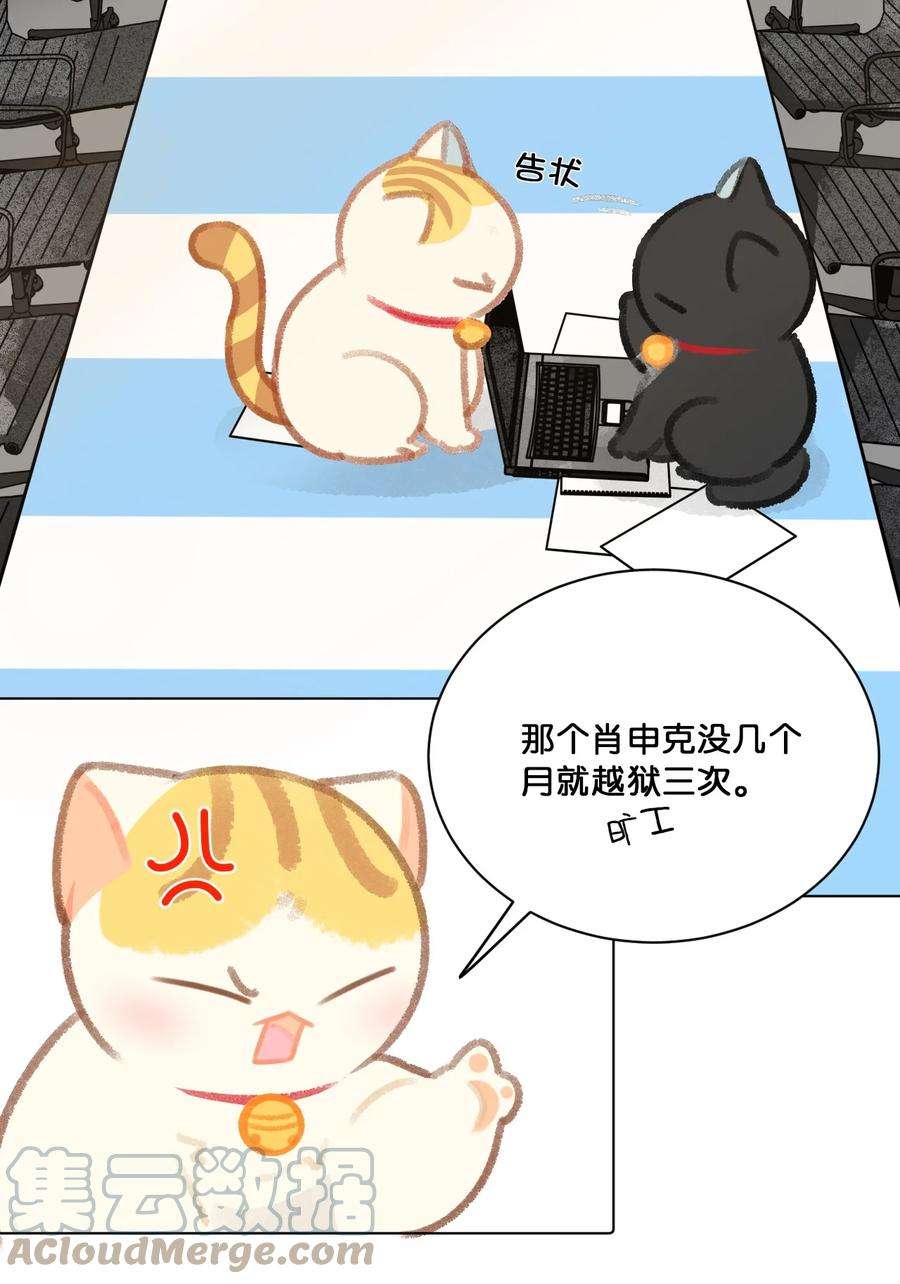 喵铃铛24 新员工在橘总头上拉屎？！