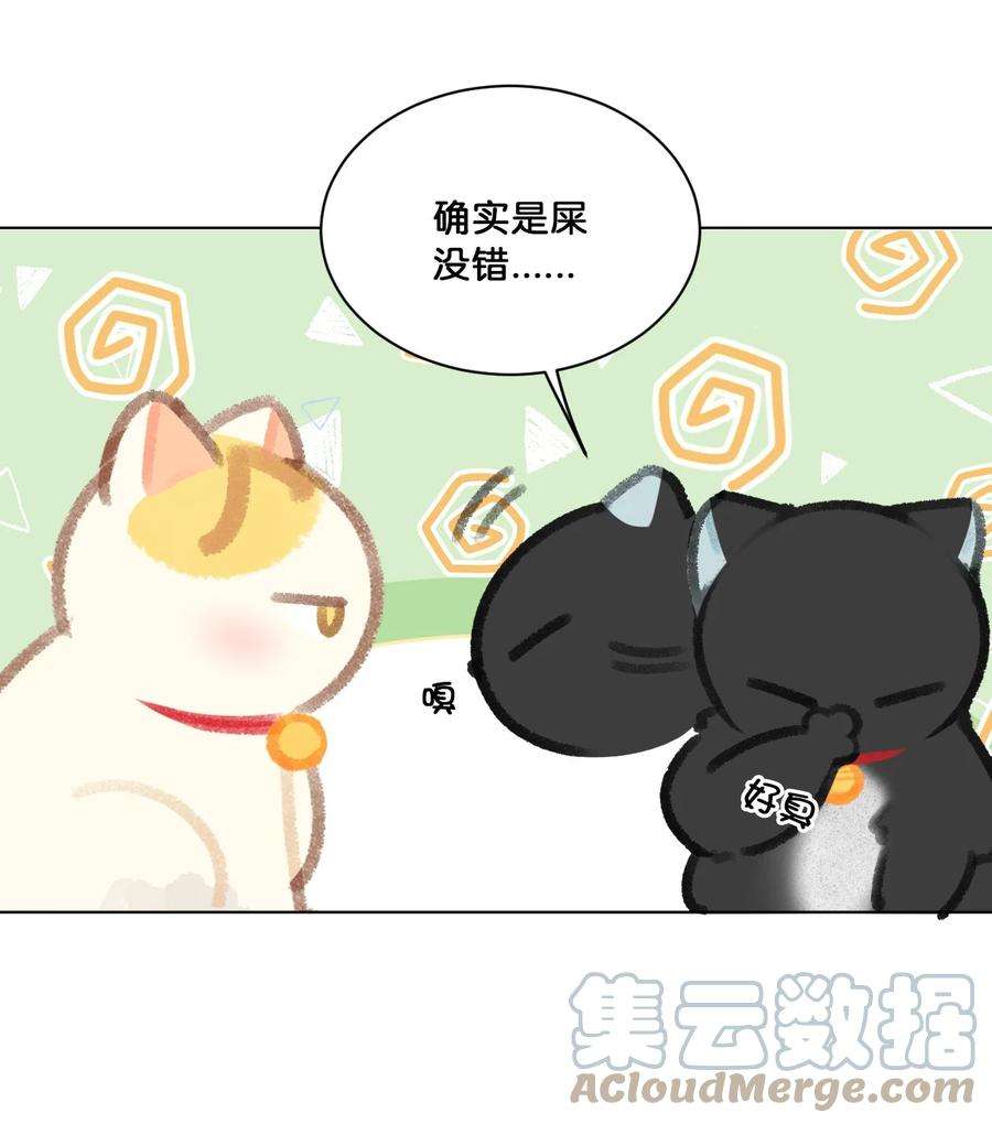 喵铃铛24 新员工在橘总头上拉屎？！