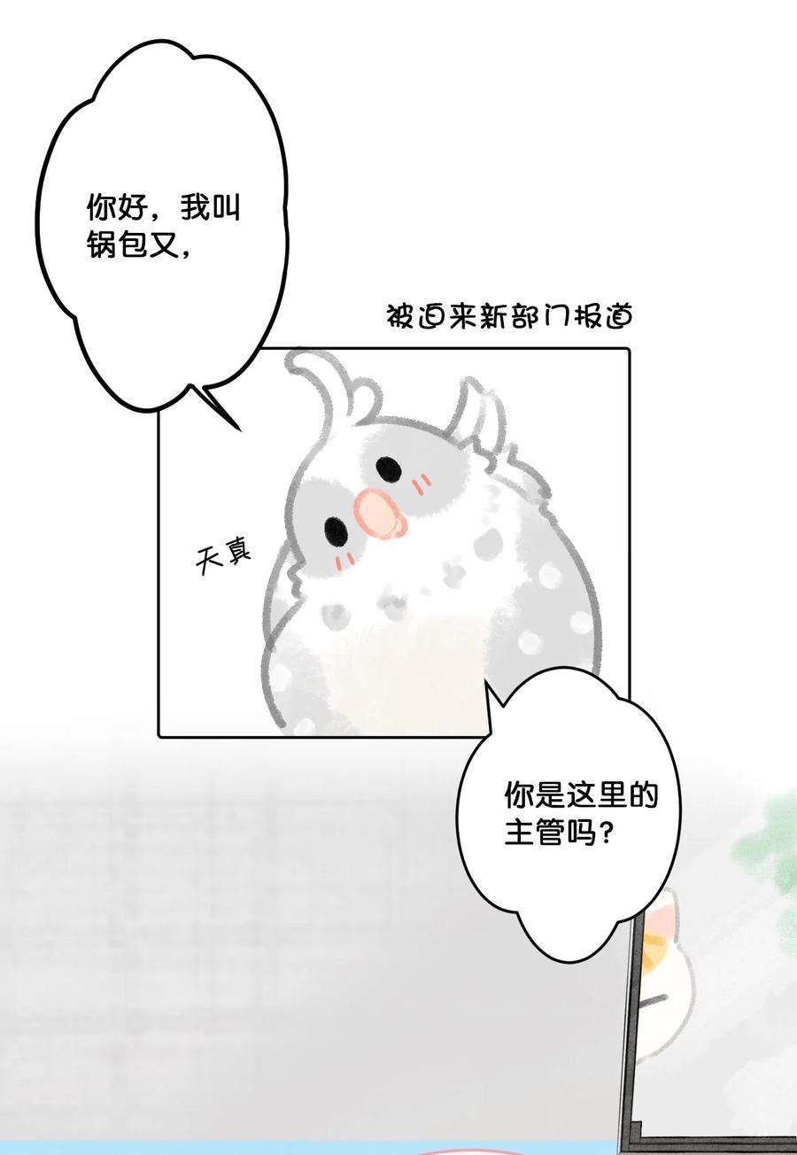 喵铃铛24 新员工在橘总头上拉屎？！