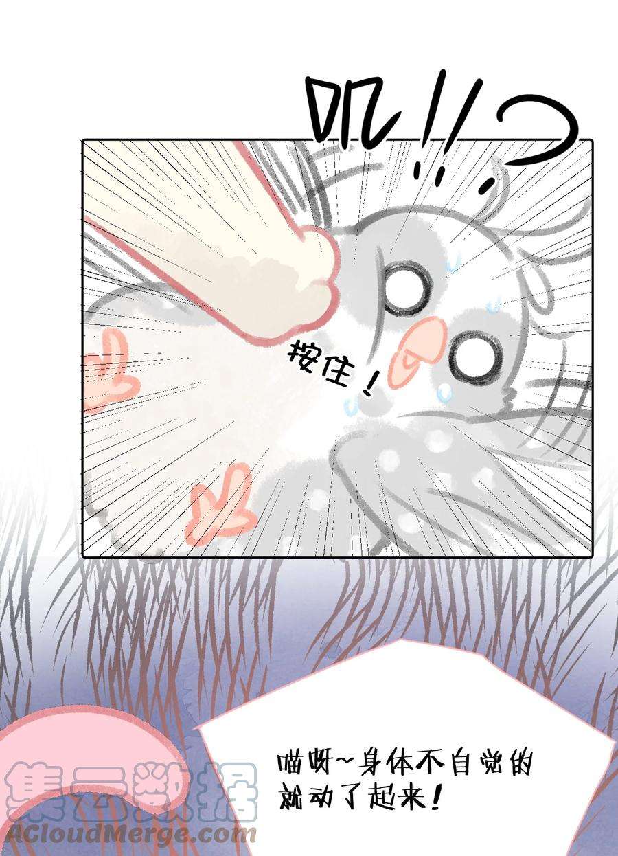 喵铃铛24 新员工在橘总头上拉屎？！