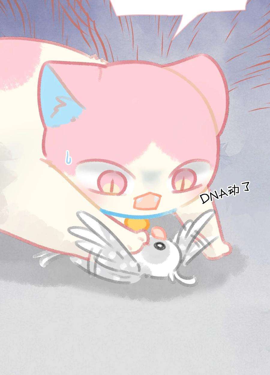 喵铃铛24 新员工在橘总头上拉屎？！