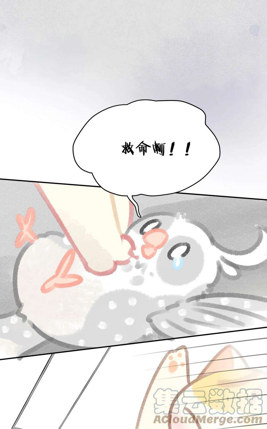 喵铃铛24 新员工在橘总头上拉屎？！