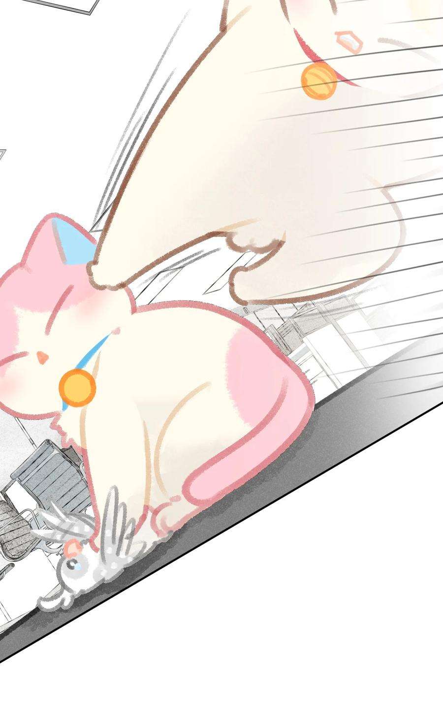 喵铃铛24 新员工在橘总头上拉屎？！